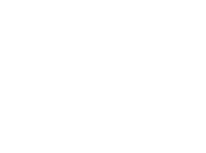 Logo del programa Women in Action